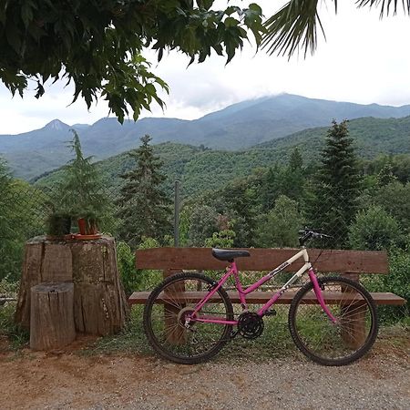 Apartamento En Pleno Montseny Mas Romeu Turisme Rural Arbucies Luaran gambar