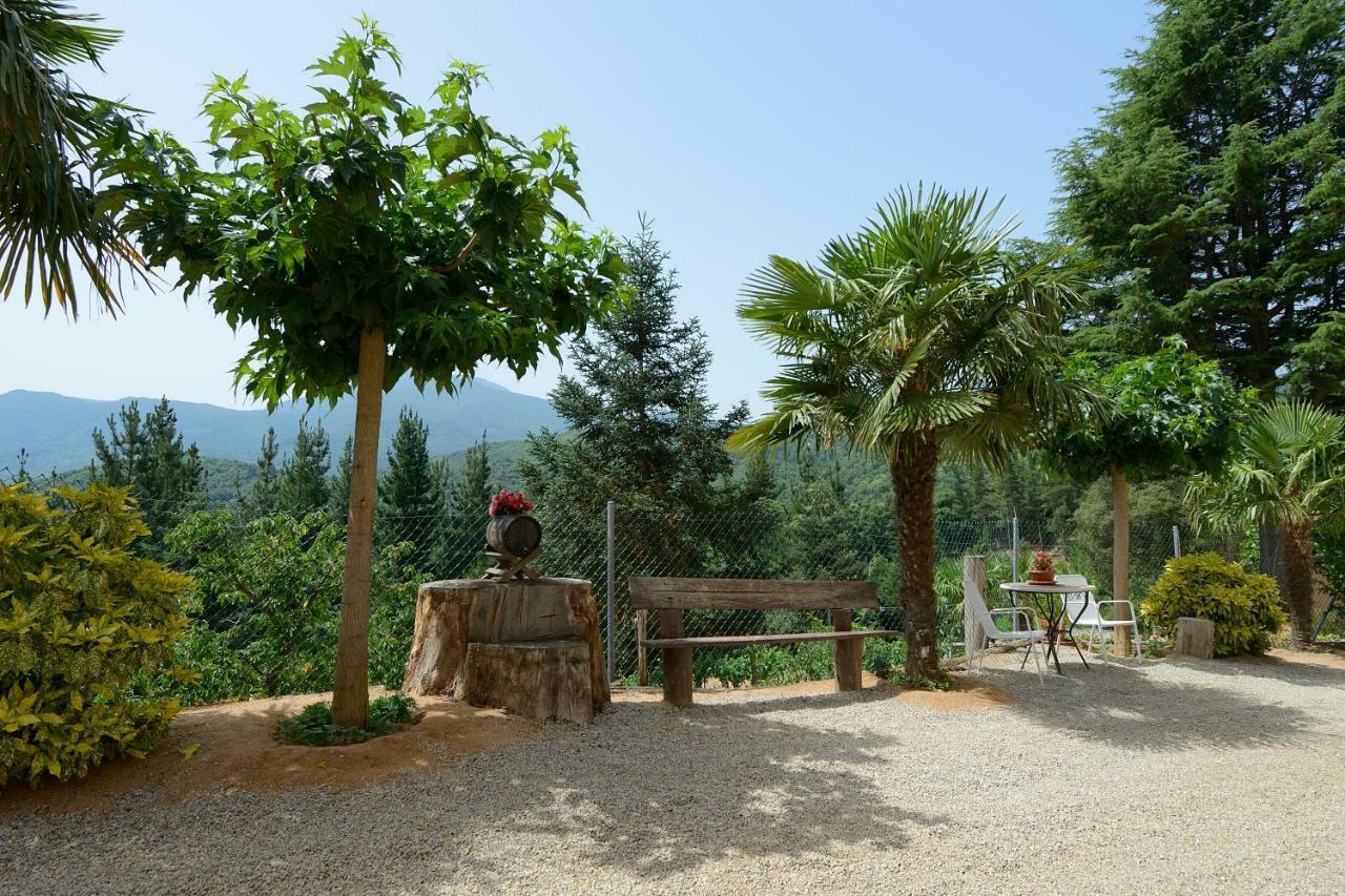 Apartamento En Pleno Montseny Mas Romeu Turisme Rural Arbucies Luaran gambar